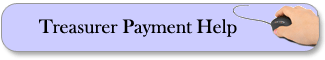 Treasurer Payment Help
