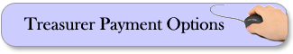Treasurer Payments